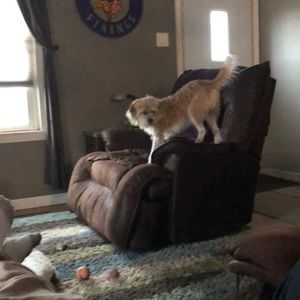 Meet your Posher, Jared